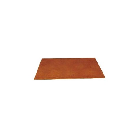 PLANCHA BIZCOCHO 30 X 40