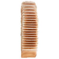 PAN DE MOLDE