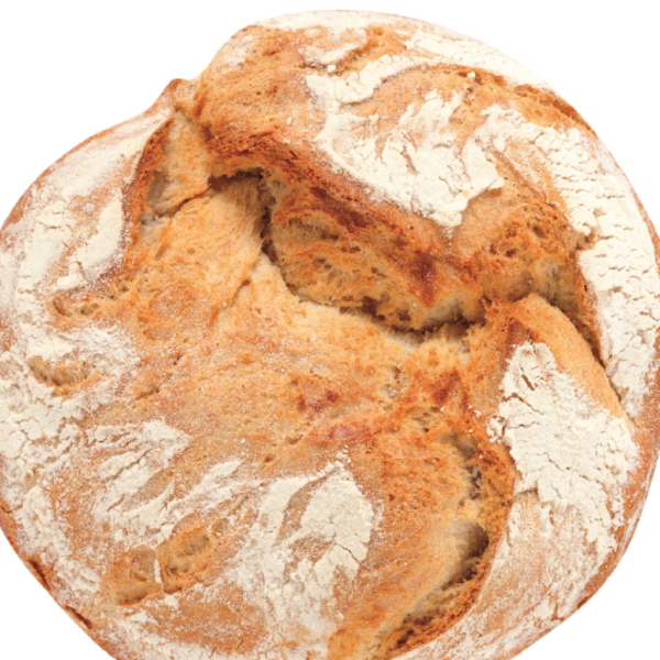 MINI CHAPATA JOSELITO